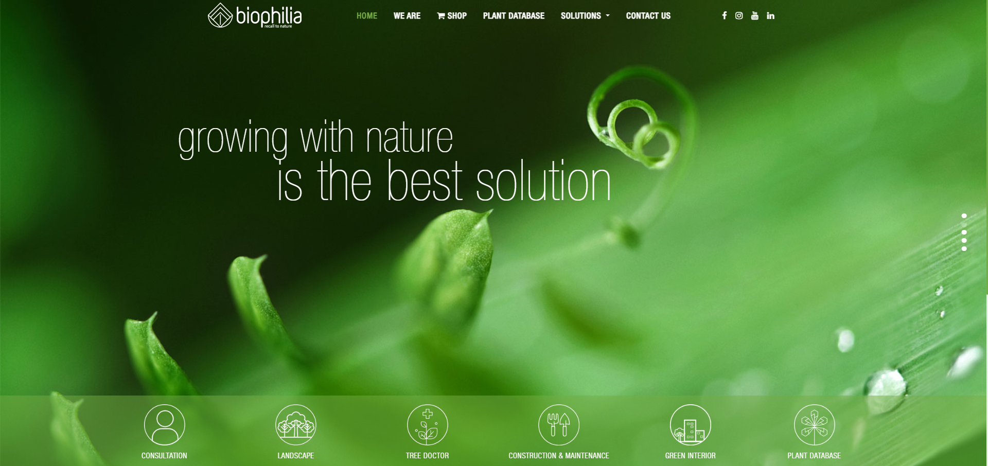 Online presence implementation including website design and development.