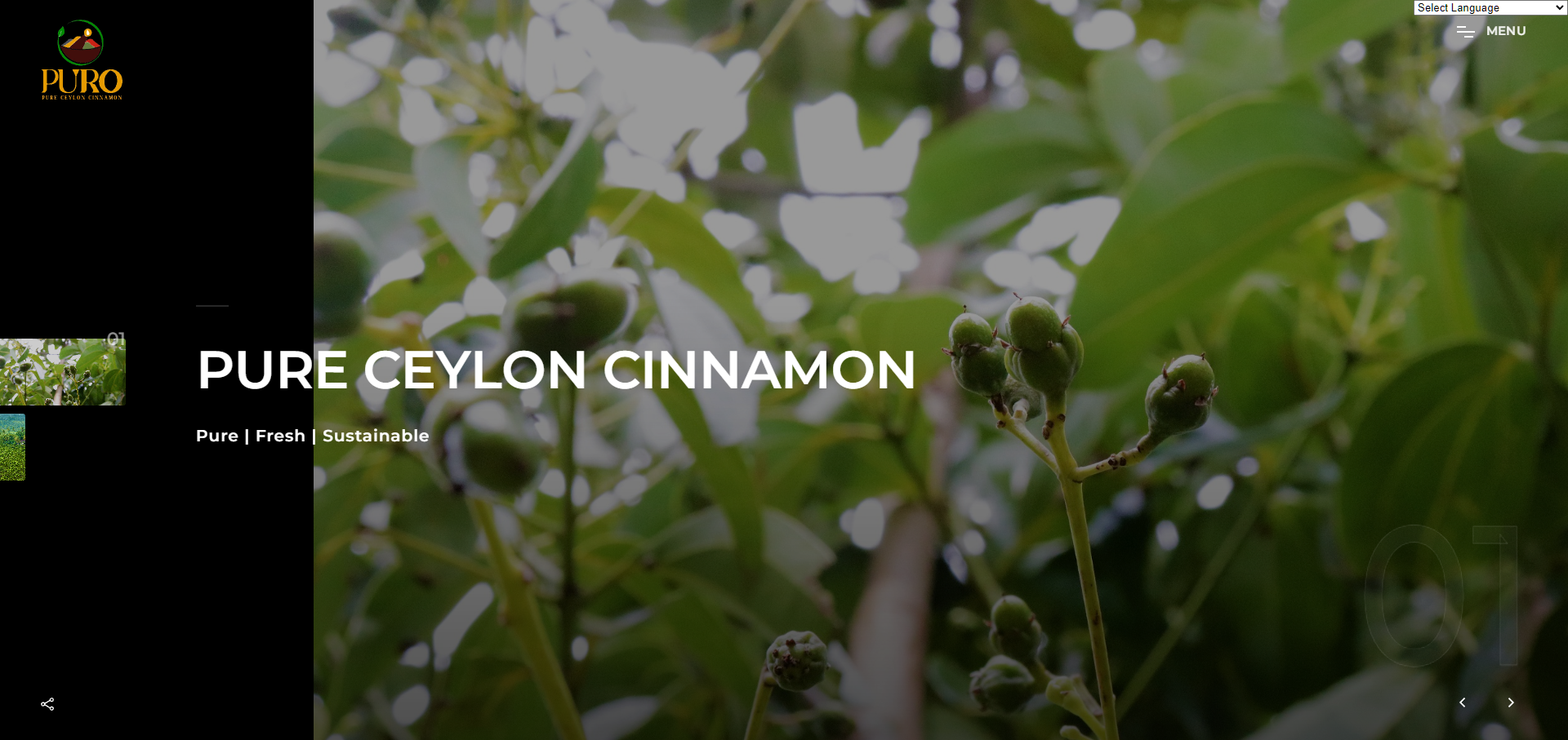 Online presence implementation including website design and development.